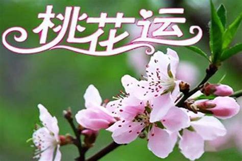 咸池 桃花|八字神煞解析——咸池